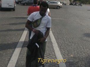 Tigrenegro