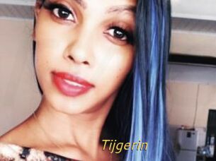 Tijgerin