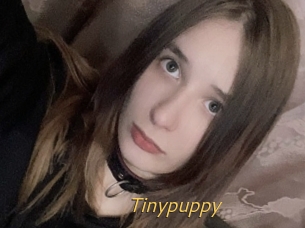 Tinypuppy