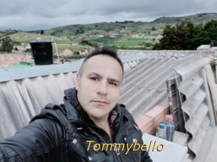 Tommybello