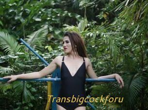 Transbigcockforu