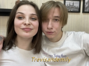 Trevisandemily