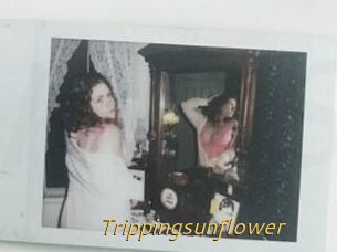 Trippingsunflower