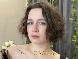 Trishrose