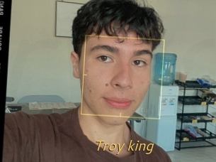 Troy_king