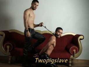 Twopigslave