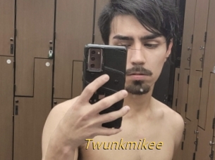 Twunkmikee