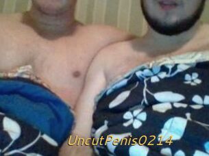 UncutPenis0214