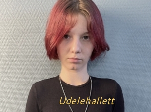 Udelehallett