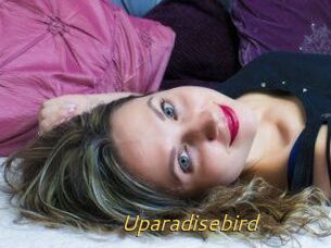 Uparadisebird