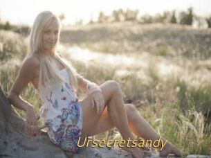 Ursecretsandy
