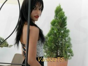 VanezaTS