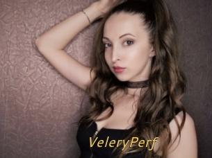 VeleryPerf