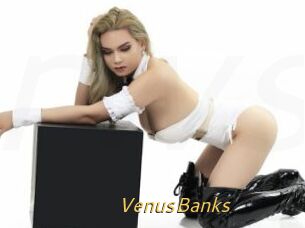 VenusBanks