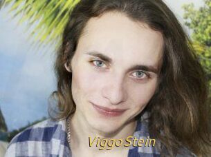 ViggoStein