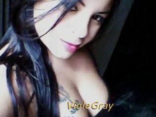 VioleGray
