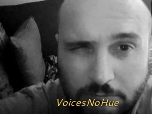 VoicesNoHue