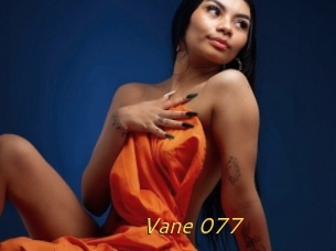 Vane_077