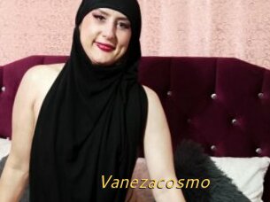 Vanezacosmo