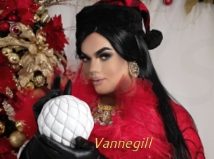 Vannegill