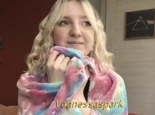 Vannessaspark