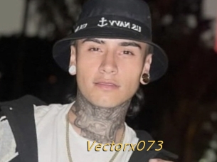 Vectorx073