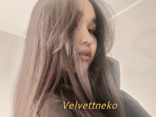 Velvettneko