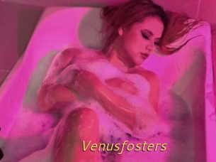 Venusfosters