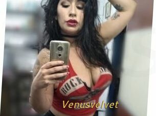 Venusvelvet
