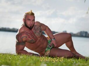 Viking28