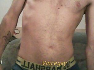 Vincegay