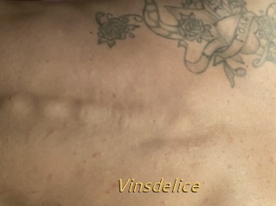Vinsdelice