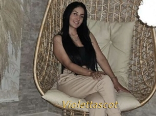 Violettascot