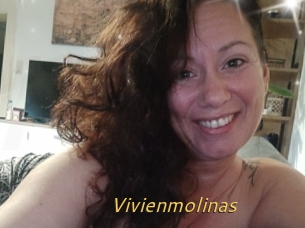 Vivienmolinas