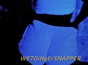 WETGiNgErSNAPPER