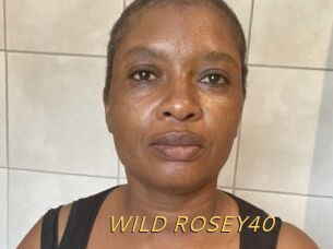 WILD_ROSEY40