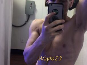 Waylo23