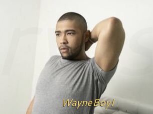 WayneBoyI