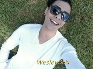 Wesley_Boix