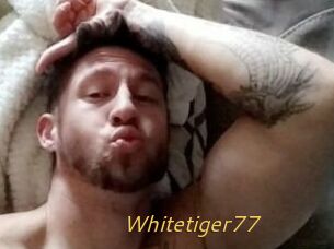 Whitetiger77