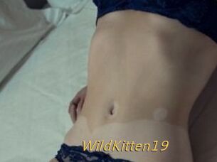 Wild_Kitten19