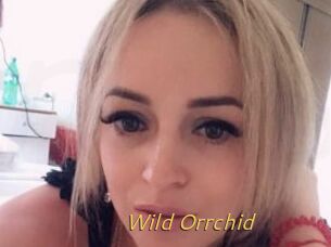 Wild_Orrchid