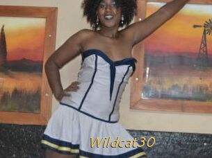 Wildcat30