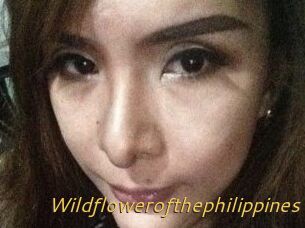 Wildflowerofthephilippines