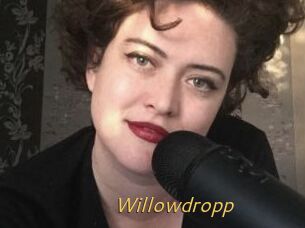 Willowdropp