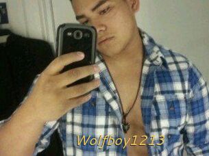 Wolfboy1213