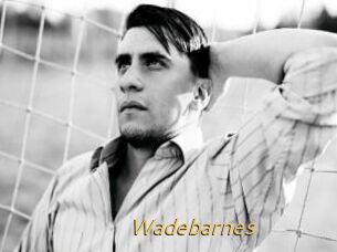 Wadebarnes