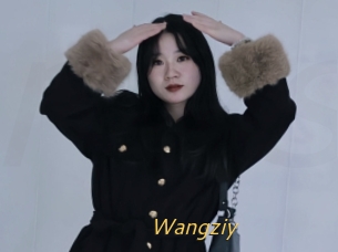 Wangziy