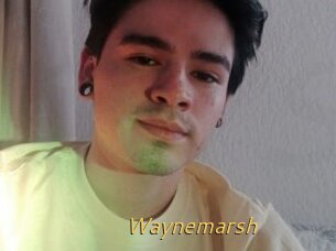Waynemarsh