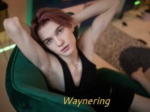 Waynering